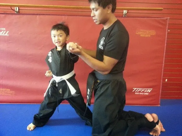 Apex Martial Arts Academy Picture 7