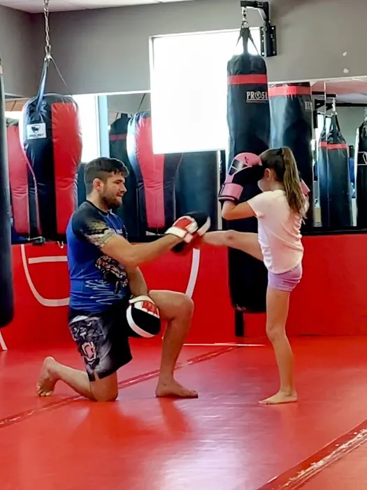 Ferreira Family Fight Academy: Jiu Jitsu, Kickboxing, MMA, Martial Arts, Kids Classes Picture 4