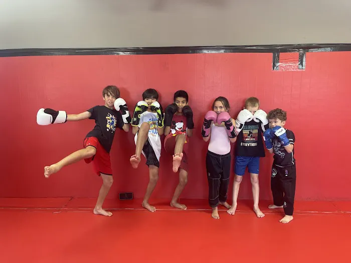 Ferreira Family Fight Academy: Jiu Jitsu, Kickboxing, MMA, Martial Arts, Kids Classes Picture 6