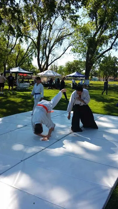 New School Aikido Picture 3