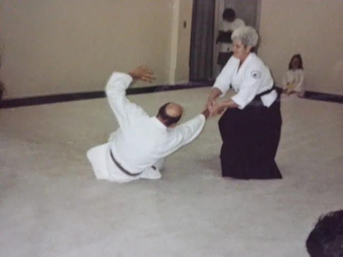 New School Aikido Picture 4