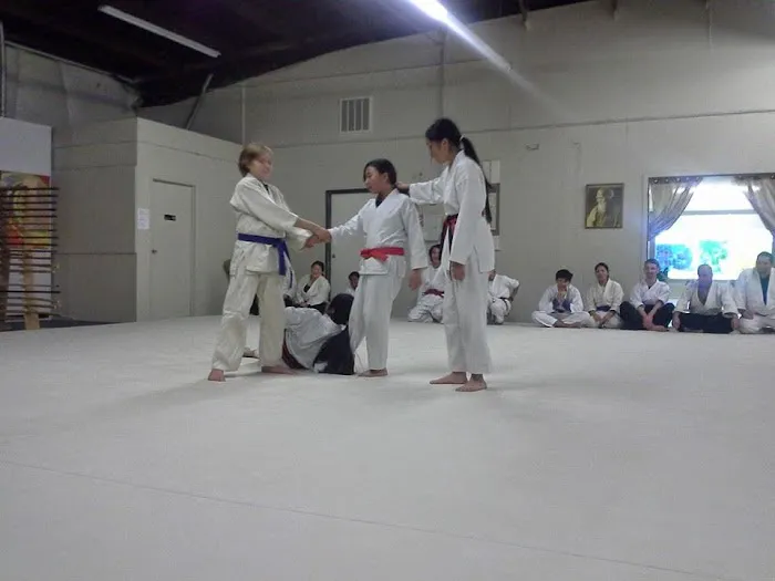 New School Aikido Picture 1