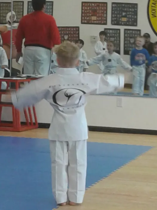Robinson's Taekwondo Picture 1