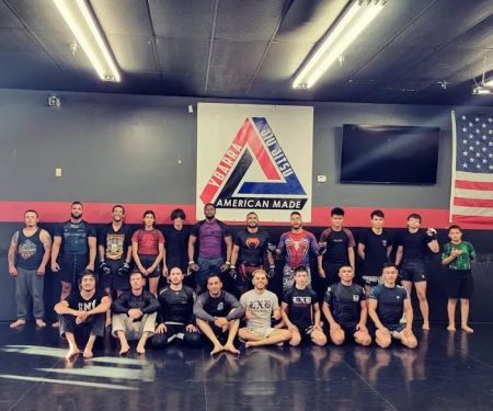 Modesto Power
