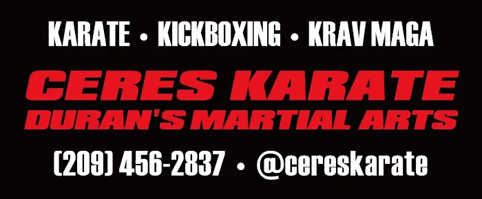 Ceres Karate Picture 4