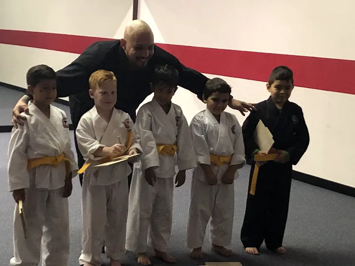 Ceres Karate Picture 7