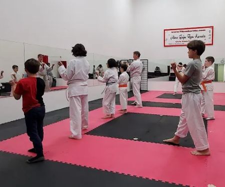 Hiers Goju Ryu Karate