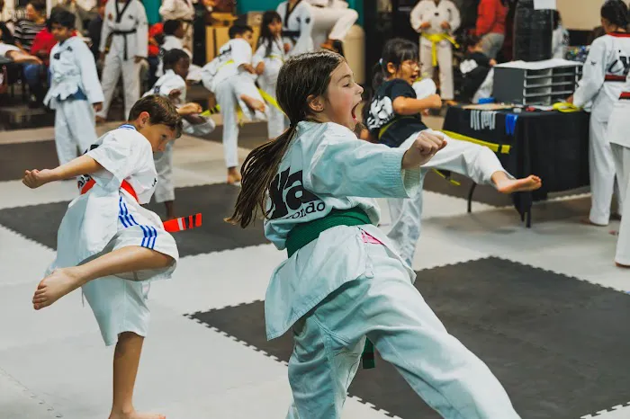 iYa Taekwondo Picture 4