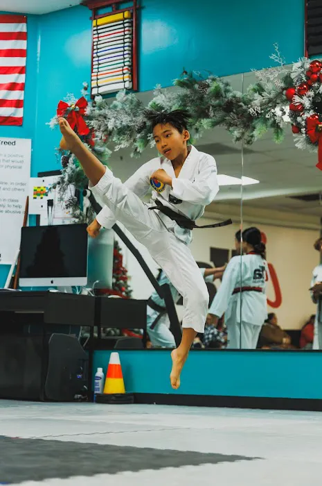 iYa Taekwondo Picture 3