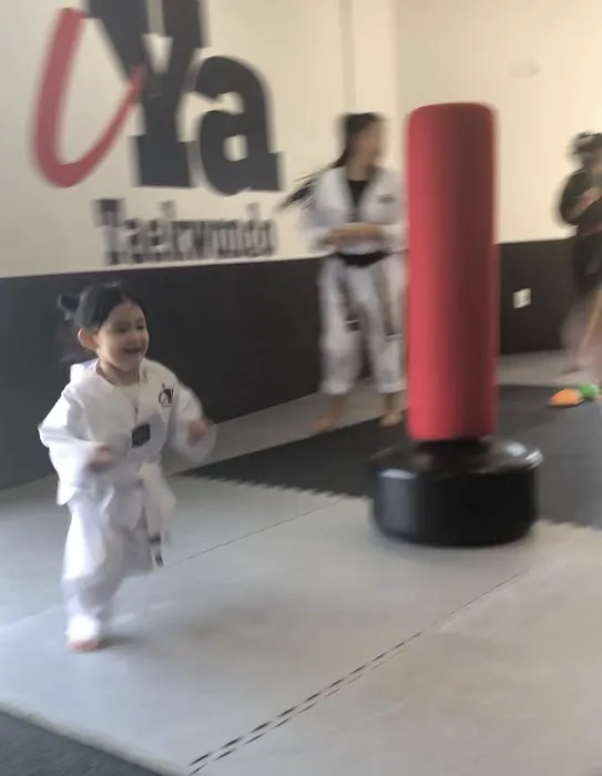 iYa Taekwondo Picture 6