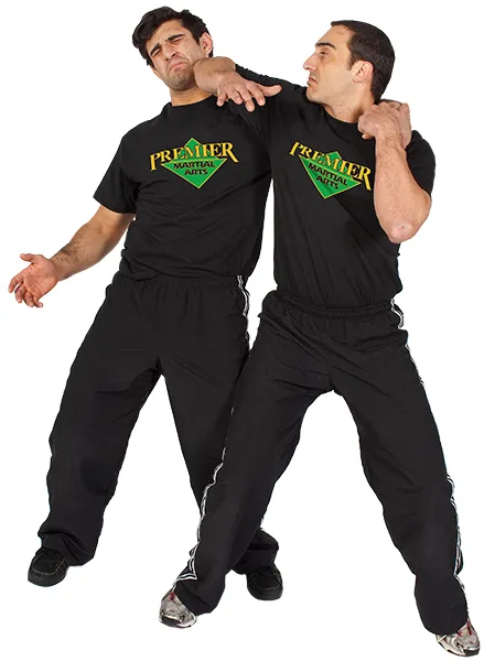 Premier Martial Arts Picture 2