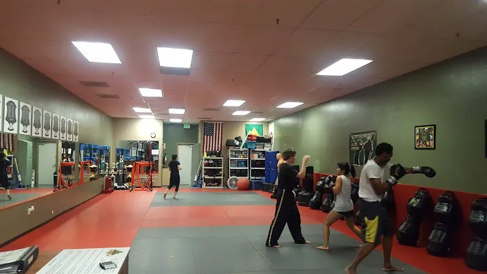 Premier Martial Arts Picture 3