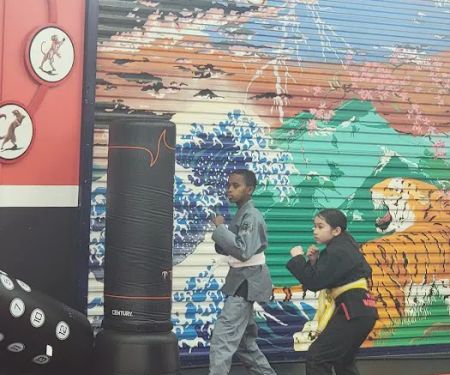 Way of the Warrior Martial Arts