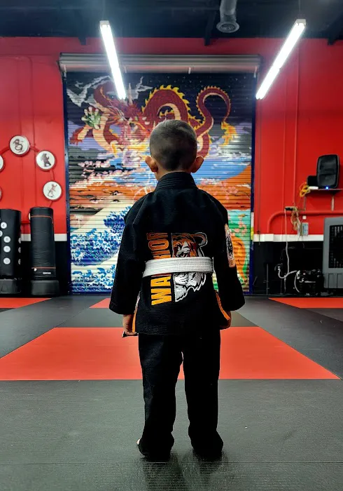 Way of the Warrior Martial Arts Picture 9