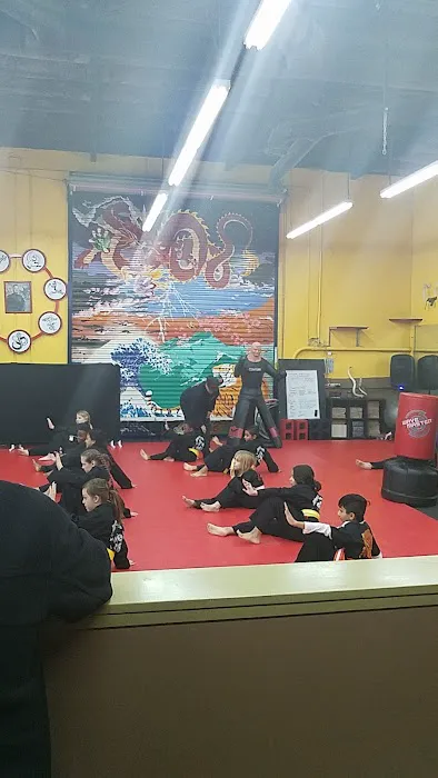 Way of the Warrior Martial Arts Picture 8