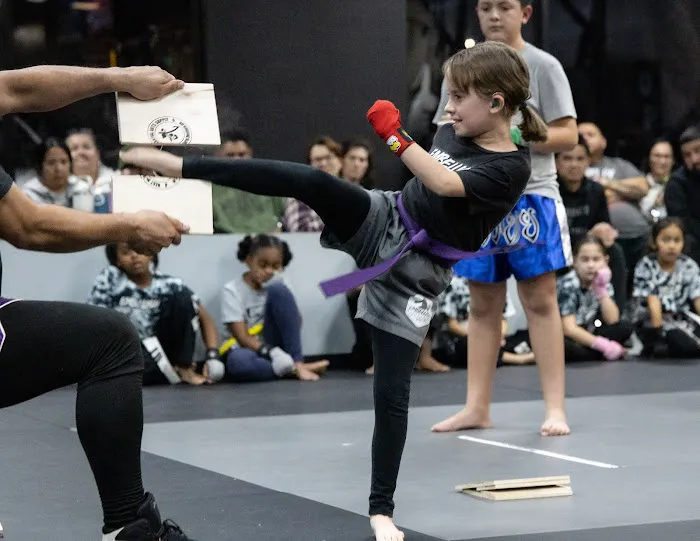 Embellish Kickboxing Academy Picture 9
