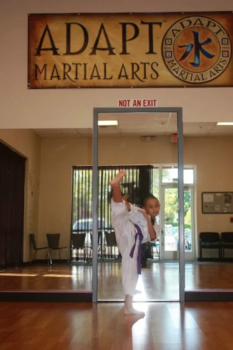 Adapt Martial Arts Picture 3