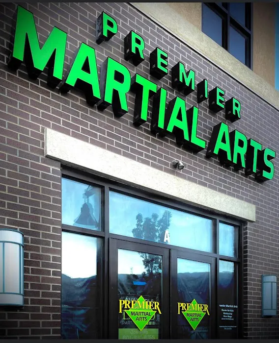Premier Martial Arts Sacramento Picture 2