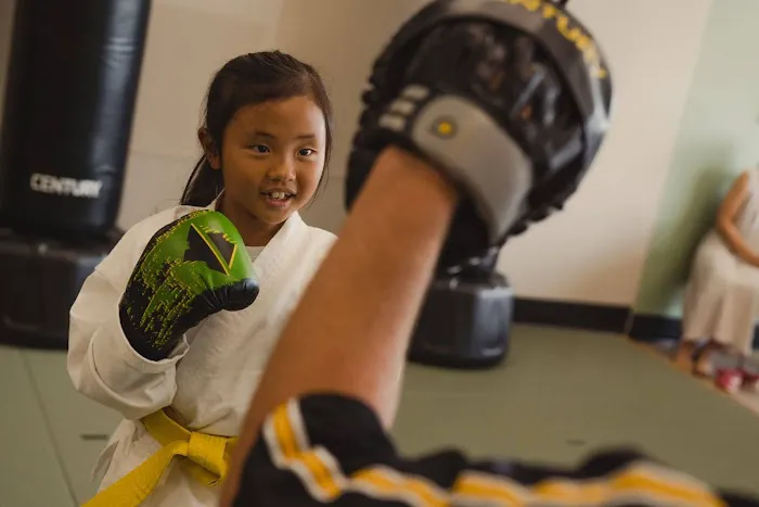 Premier Martial Arts Sacramento Picture 4