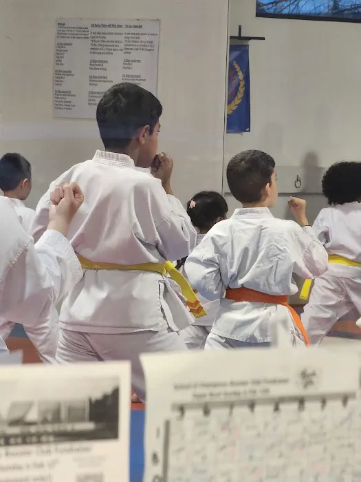 International Karate Federat Picture 8