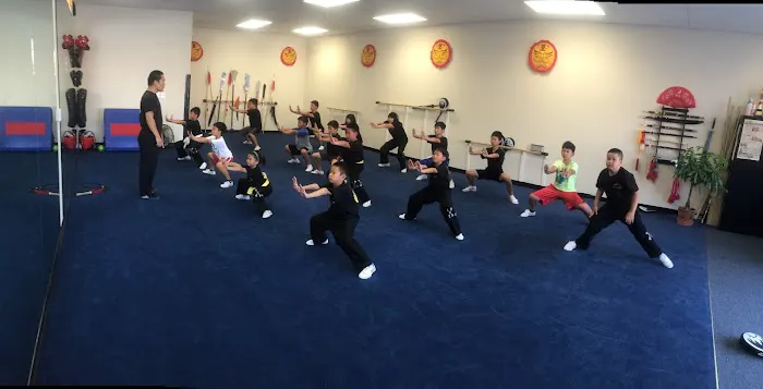Honor Kung Fu Academy Picture 2