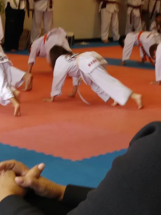 Kids Club Martial Arts, World Class Martial Arts Picture 7