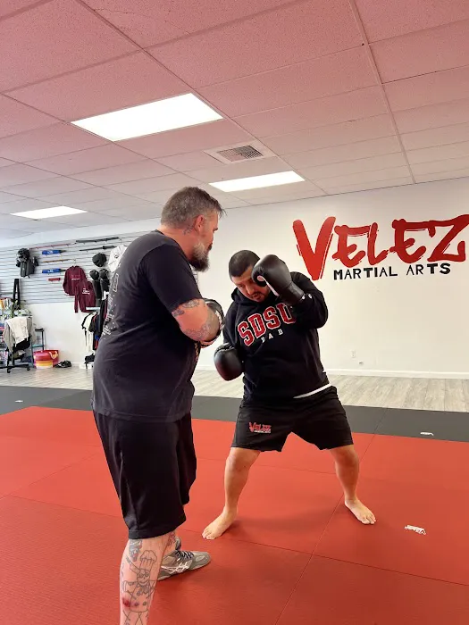 Velez Martial Arts Picture 4