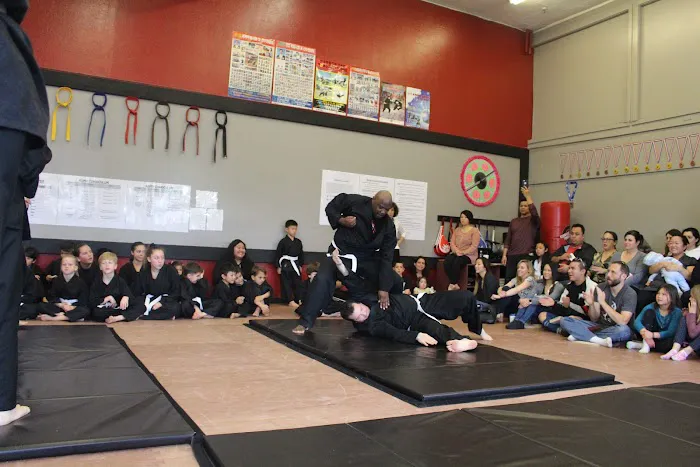 KSMY Martial Arts Picture 5