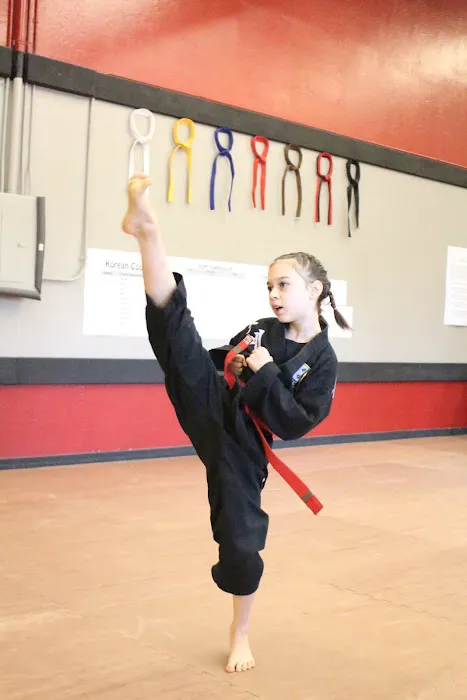 KSMY Martial Arts Picture 2