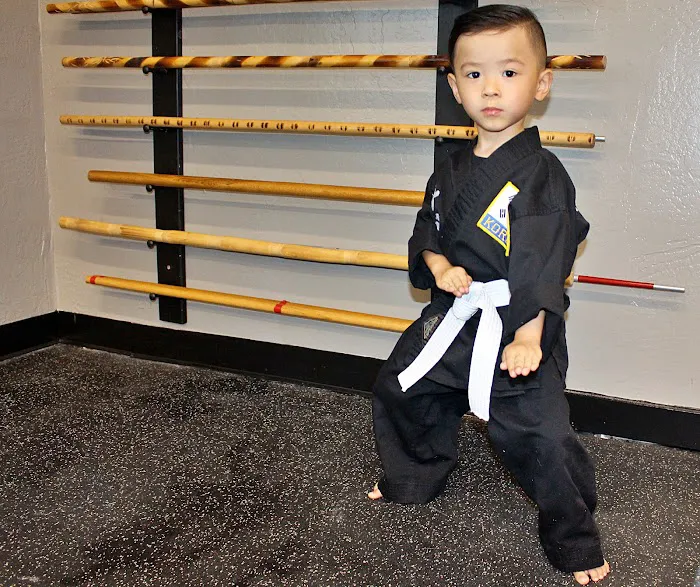 KSMY Martial Arts Picture 10