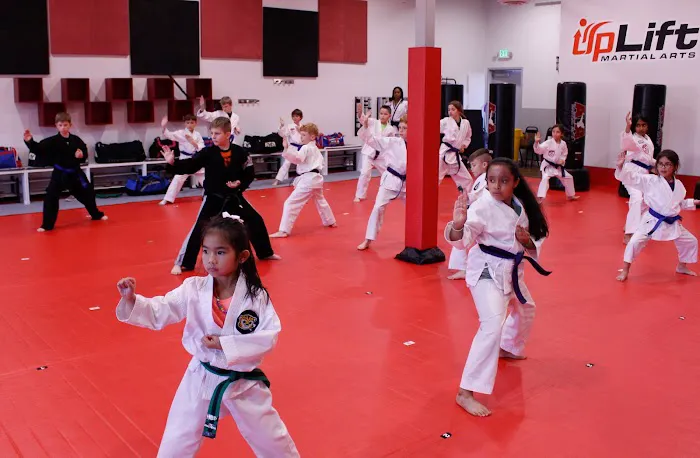UpLift Martial Arts Picture 5