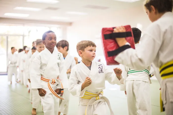 Zen Martial Arts Center Picture 6