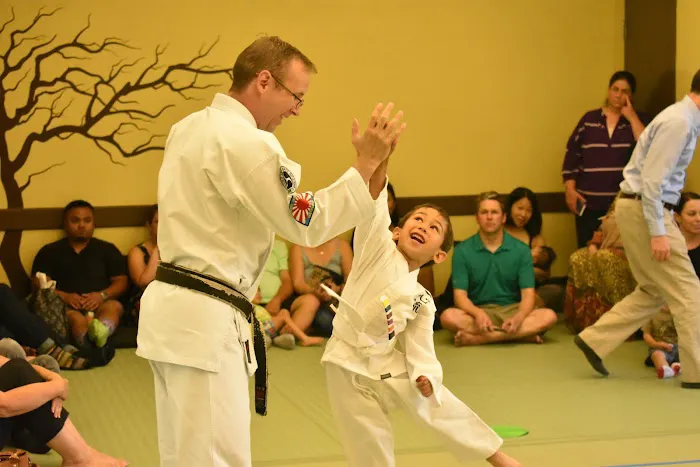 Zen Martial Arts Center Picture 7
