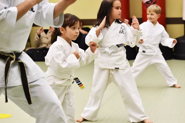 Zen Martial Arts Center Picture 10