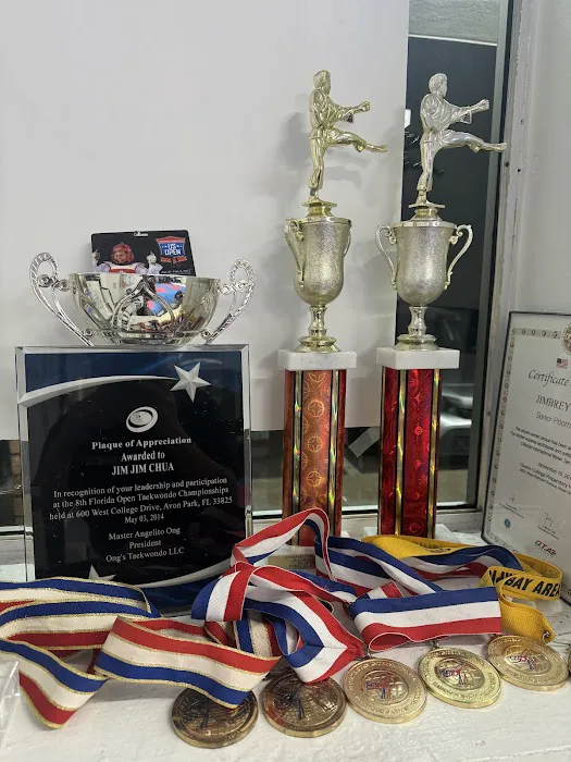 Superfoot Taekwondo Tigers Picture 5