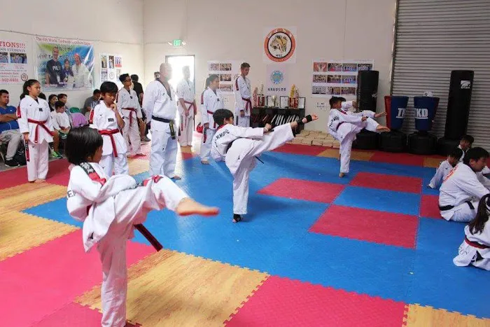 Superfoot Taekwondo Tigers Picture 6