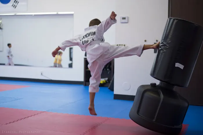 Fair Oaks Family Taekwondo Picture 10