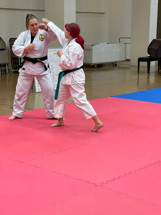 Health and Martial Arts Center Picture 5