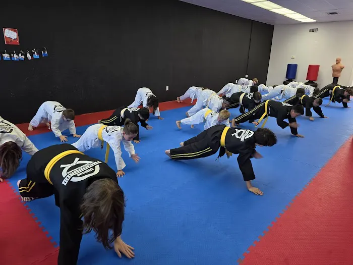 Vision Taekwondo Academy Picture 3