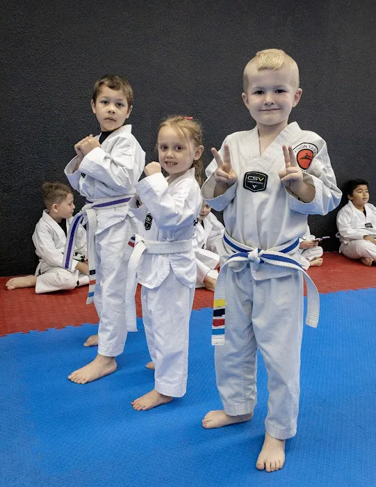Vision Taekwondo Academy Picture 4