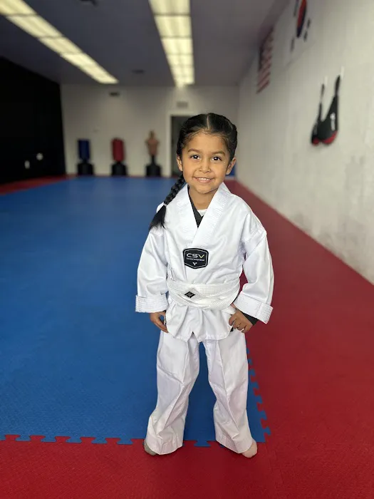 Vision Taekwondo Academy Picture 2