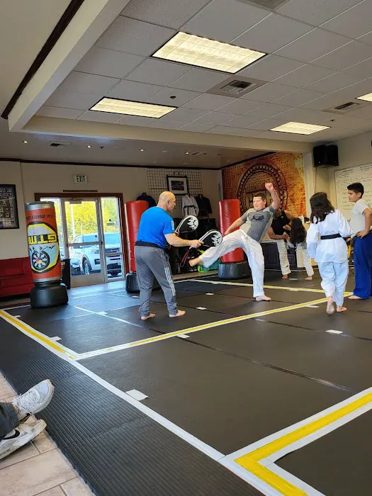 KARATE4KIDS-TaekwondoAmerica Picture 3