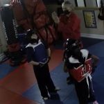 Tao of the Tiger Martial Arts