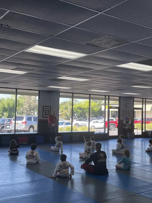 Kovar's Satori Academy of Martial Arts - Fair Oaks Picture 1