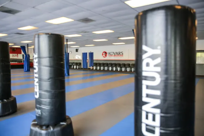 Kovar's Satori Academy of Martial Arts - Fair Oaks Picture 3