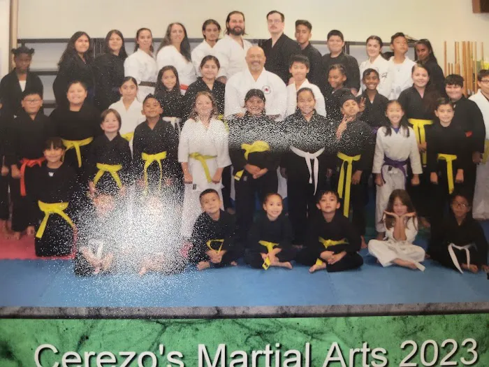 Cerezo's Martial Arts Picture 4