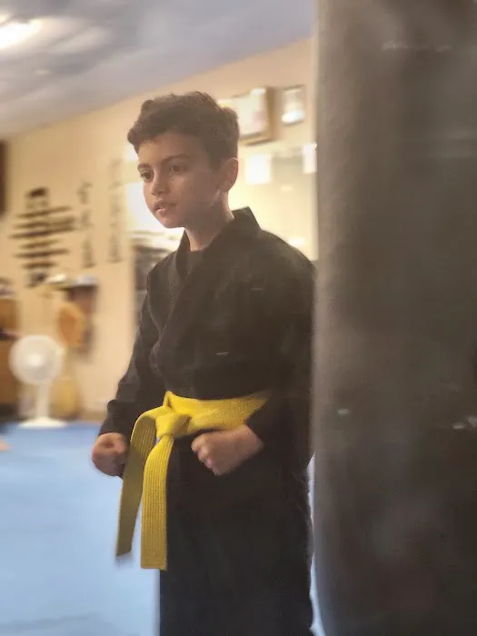 Cerezo's Martial Arts Picture 2