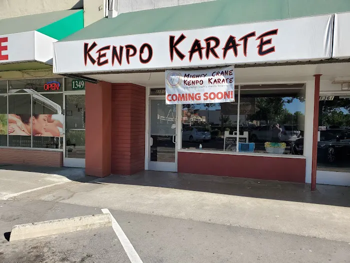 Mighty Crane Kenpo Picture 7