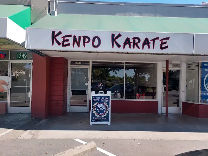 Mighty Crane Kenpo Picture 6