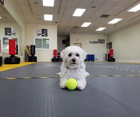 Na Martial Arts